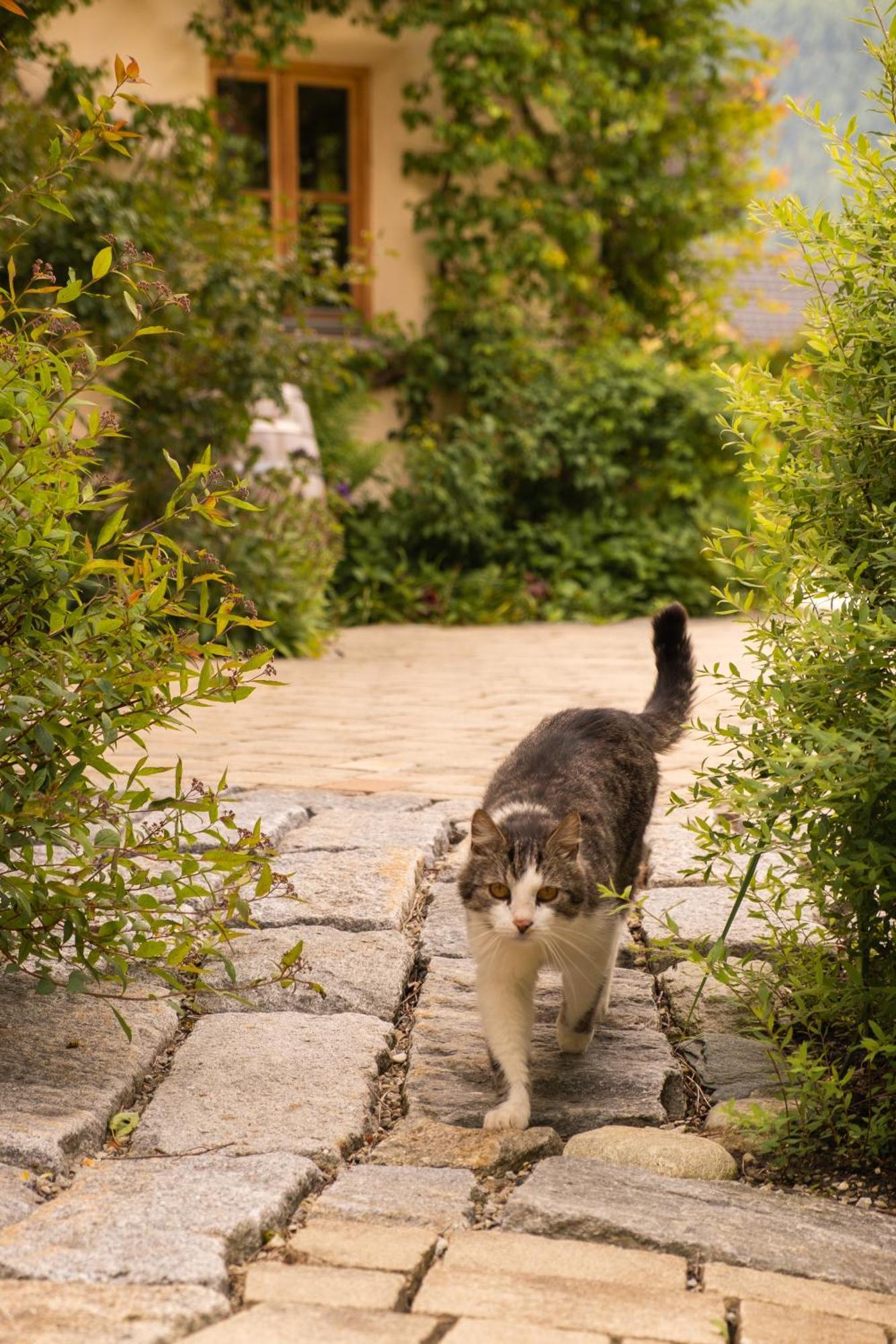 St Martin Chalets Sankt Michael im Lungau Εξωτερικό φωτογραφία